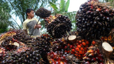 KABAR PASAR 7 FEBRUARI: Memacu Penghiliran Sawit, Antam Kebut Smelter